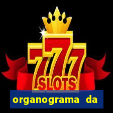 organograma da cacau show